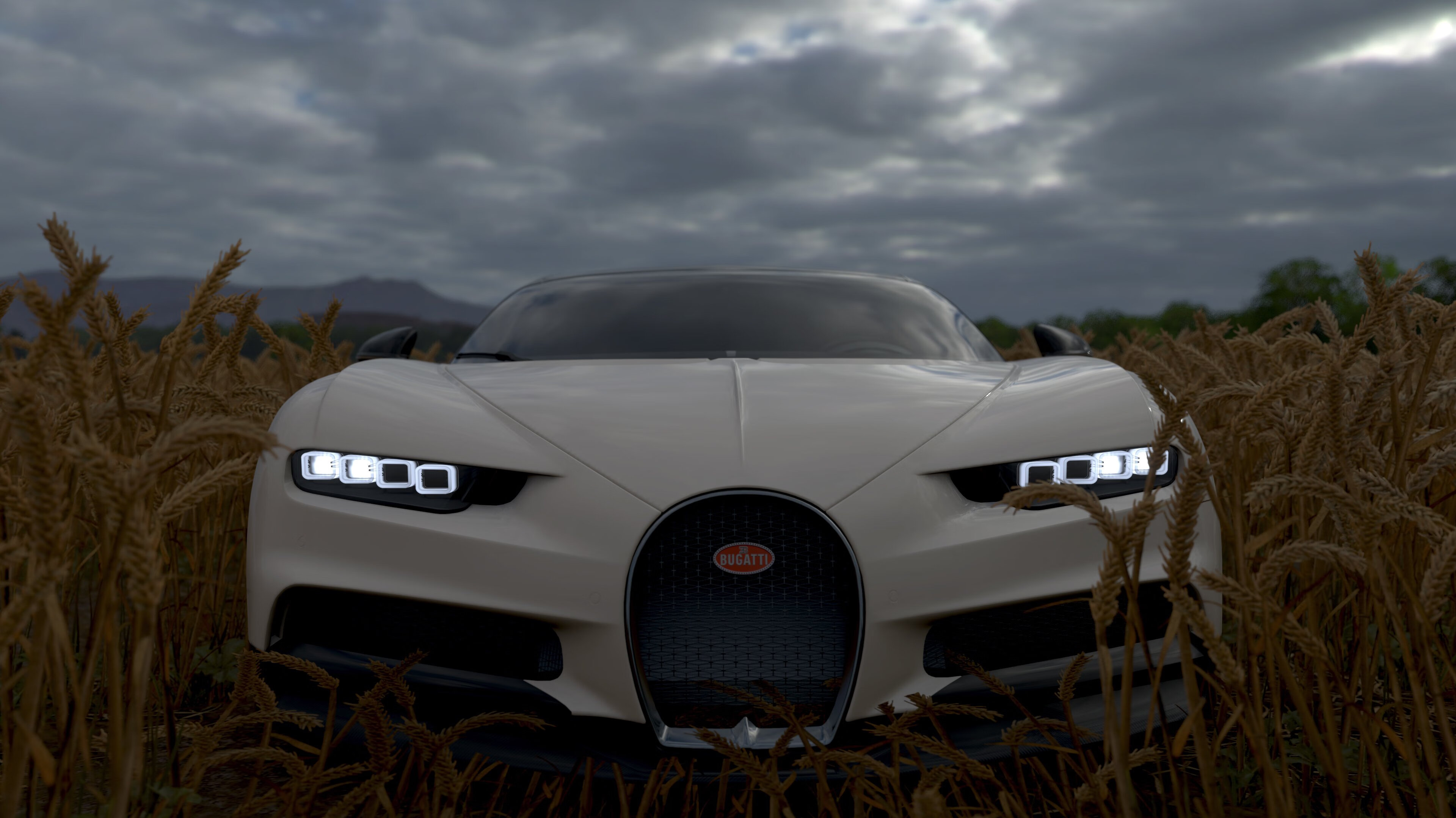 FB体育网页版-全市马拉松志愿者争霸赛，团队合作的力量，马拉松志愿者竞赛组是干什么的