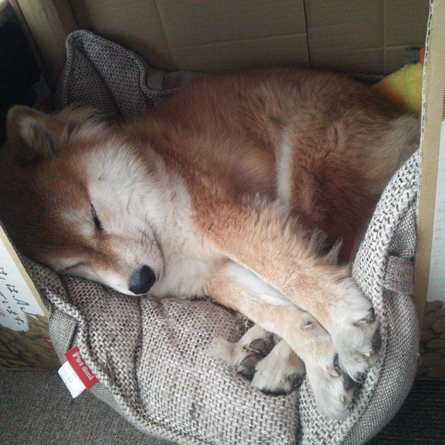 FB体育下载-巴黎奥运会资格系列赛先后在上海和布达佩斯举行,共有158名运动员通过该赛事获得巴黎奥运会参赛资格。