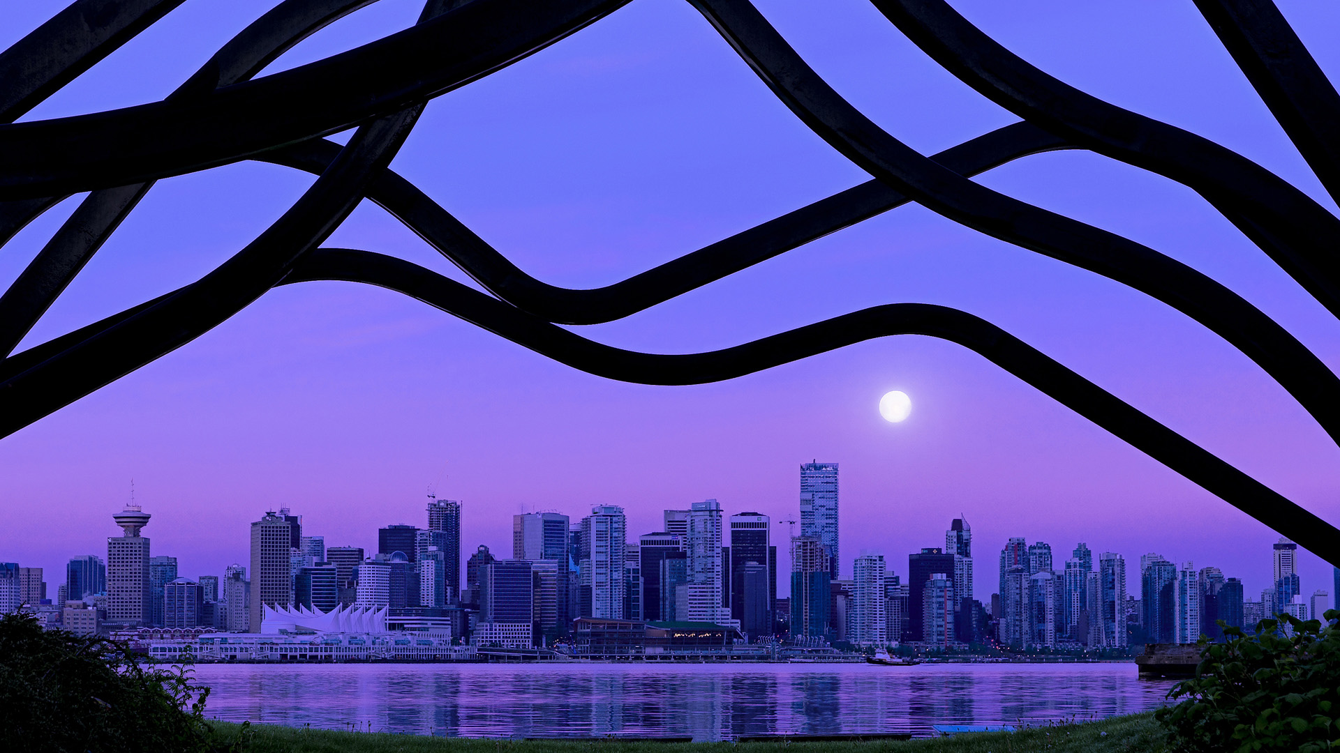 FB体育APP-体育瞬间：辽宁队球员势不可挡取得胜利，辽宁队球员资料