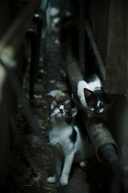 FB体育平台-内蒙古队球员在比赛中取得令人意外胜利,内蒙古球队有哪些级别球队