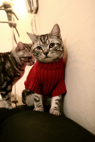 FB体育官方网站-中小学体育课推广防跌倒实用训练环节,防跌倒的题目